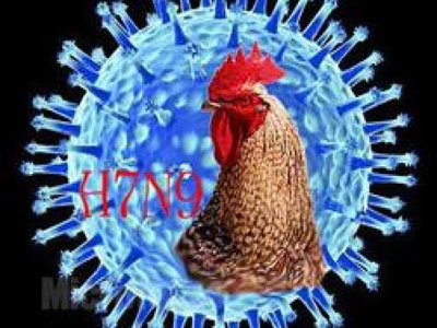 京确认今年首例禽流感患者.jpg