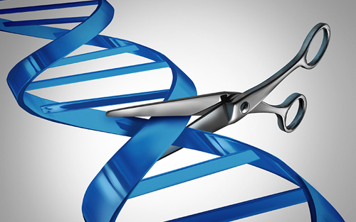 PNAS：科学家制备双重核酸酶让CRISPR技术更上一层楼.png