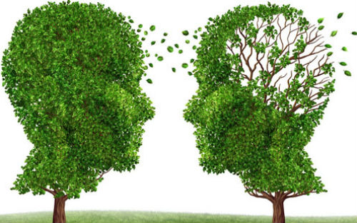 Neuron：科学家发现一种预防阿尔茨海默病的新靶点.jpg
